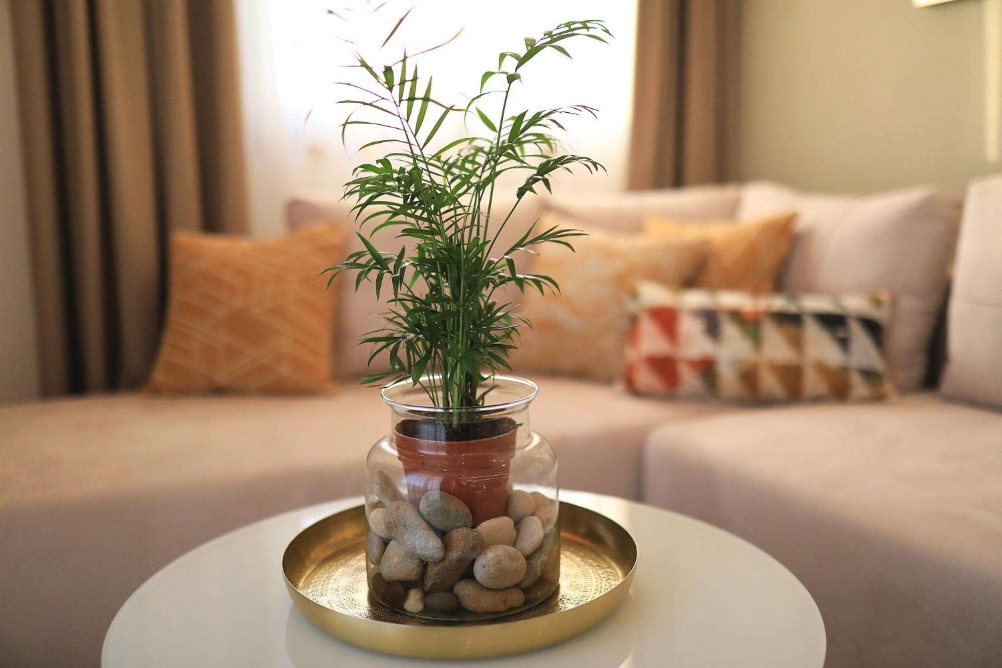 Villa Manda Zadar Luxury Apartments Zewnętrze zdjęcie
